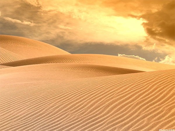 Dune del deserto al tramonto