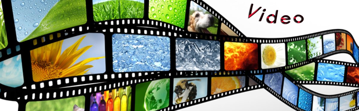 Pellicola cinematografica con immagini della natura