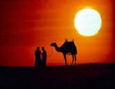 Cammello e persone controluce al tramonto