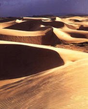 Dune del Sahara